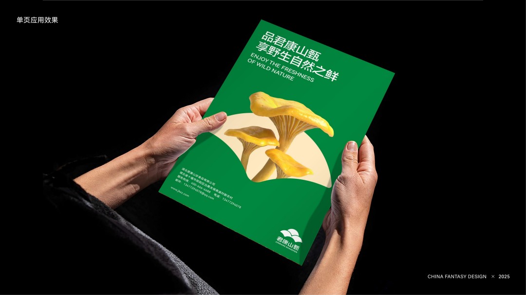 君康山甄品牌形象设计 (8).jpg
