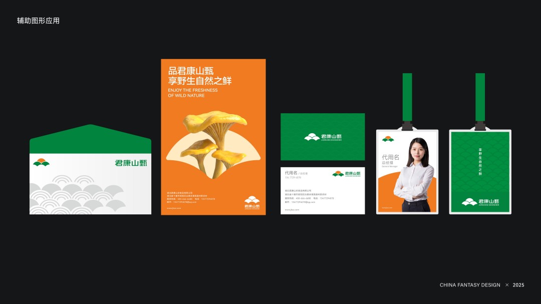 君康山甄品牌形象设计 (3).jpg