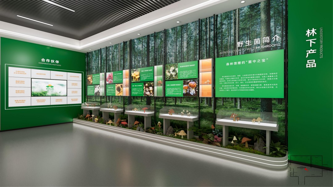 君康山珍展厅及导视系统设计 (8).jpg
